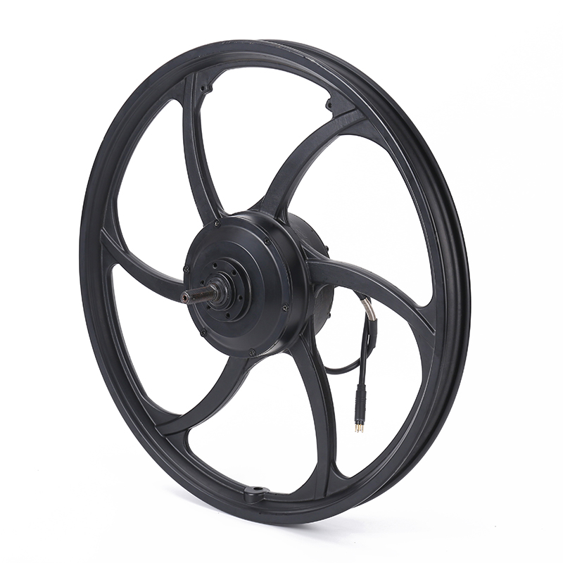 Hub motors
